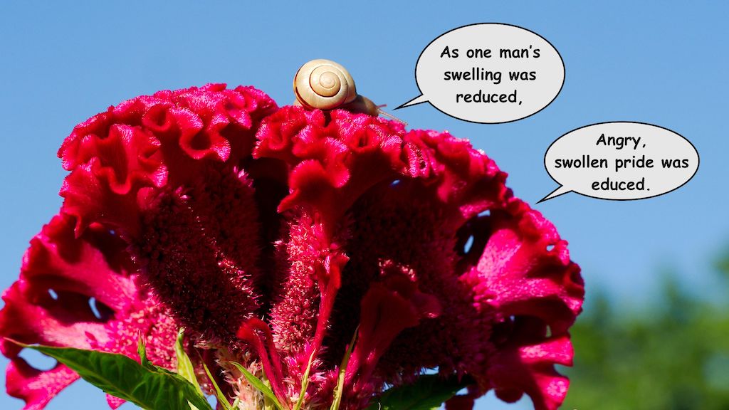 Spiritual Dropsy Shalom Snail spiritual-dropsy-shalom-snail